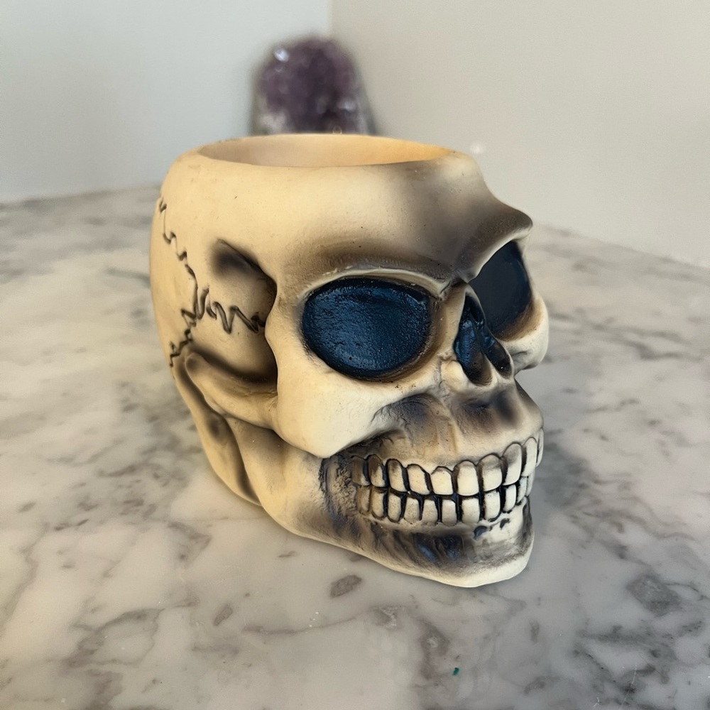 Bone Cold can cooler Sturgis skull 2001